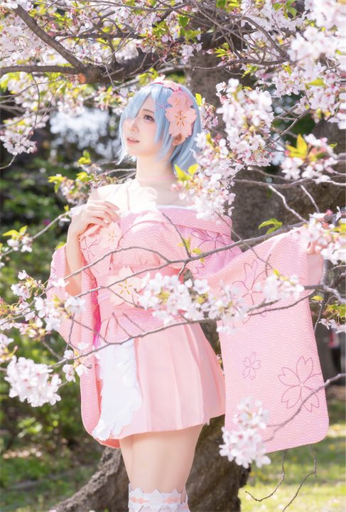 桜に囲まれ、ピンクの和装で立つぷらる